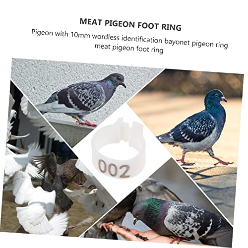 Mipcase 100pcs Easy Clip Pigeon Foot Marker Dove Leg Bands Numbered Sturdy Poultry Rings Bird Identification Bird Supplies - color: White