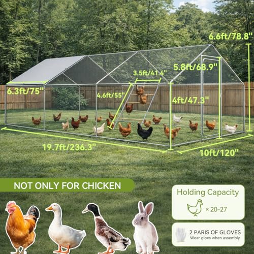 COMHOMA 19.7×10×6.6FT Large Metal Chicken Coop with Roosting Perch | Galvanized Steel Outdoor Cage with Waterproof Roof & Lockable Soor. Walk-in Poultry Run,Ideal for Hens, Ducks, and Rabbits - size: 236.3"L x 120.0"W x 78.8"H
