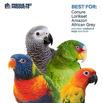 Prevue Pet Products Sink 'n Seek Playfuls Forage & Engage Bird Toy - Cage Accessories for Small to Medium Birds, Ideal for Cockatiels, Conures, Parakeets, Budgies, Lovebirds, and African Greys