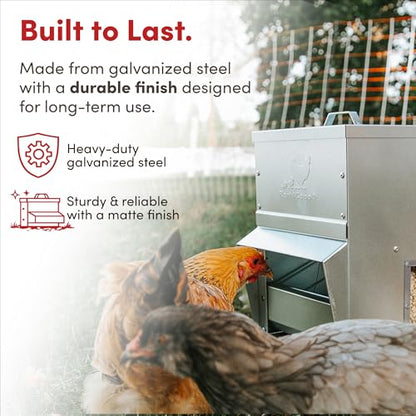 RentACoop Metal Trough Feeder with Lid & Rain Cover – Galvanized Steel, Gravity-Fed, Side View Window, Adjustable Grate for Easy Cleaning – Suitable for Chickens, Ducks, Poultry & More – 10lb Capacity - size: 10LB Capacity