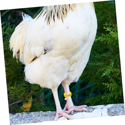 GANAZONO 50pcs Chicken Identification Anklets Digital Leg Bands for Hens Pigeons Ducks Geese