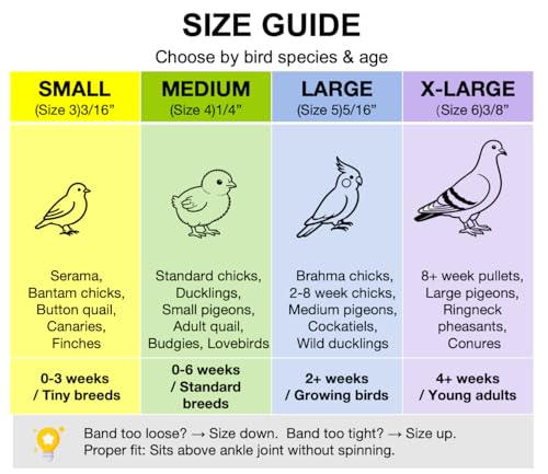 100PCS Baby Poultry Leg Bands, Soft Elastic Chicken Leg Rings for Identification, Comfort Fit for Chicks Ducklings Bantams Pigeons Parrots Canaries and Small Birds (Small (Size 3) 3/16”) - size: SMALL (Size 3)3/16”