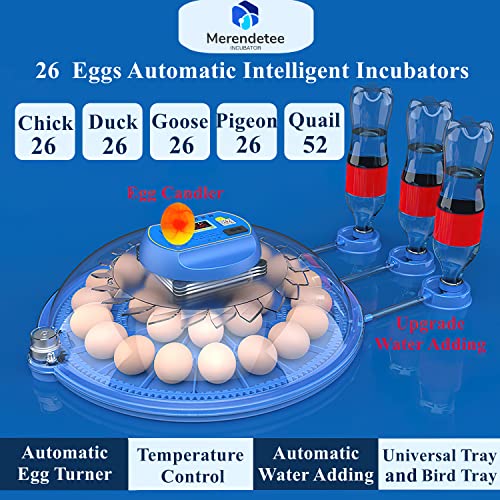 26-52 Eggs Automatic Incubator | Upgrade Automatic Water Adding |360 Degree View | incubators for Hatching Eggs |Without Installation Use - size: 26-BLUE2