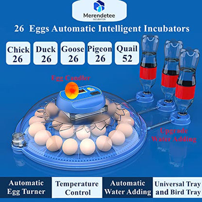 26-52 Eggs Automatic Incubator | Upgrade Automatic Water Adding |360 Degree View | incubators for Hatching Eggs |Without Installation Use - size: 26-BLUE2