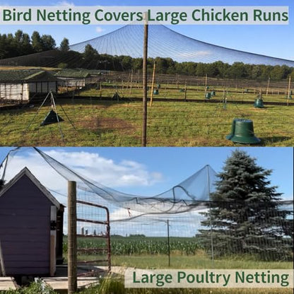 10x30ft Bird Netting for Chicken Coop 1/2 inch Mesh Heavy Duty Chicken Netting Animal Barrier, Poultry Netting Roof Cover for Chicken Run, Bird Net for Fruit Tree Against Birds Squirrels Rabbits - size: 10x30FT-1/2"