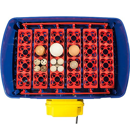 Premier 1 Borotto Real 24 Automatic Incubator with Humidity Pump