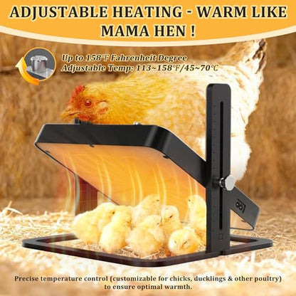 Upgraded Chick Heating Plate with Adjustable Height & Angle, Thermostatic Control Chick Warmer Pad for Enclosed Indoor Space – Ideal for Chicks - size: small-03