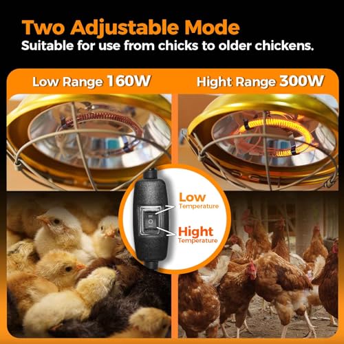 300 Watt Chicken Coop Heater - Professional Waterproof Chicken Coop Heater for Indoor & Outdoor Used - Suitable for Chick, Duck, Rabbit and Dog