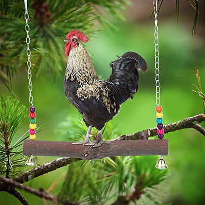 TOPINCN Chicken Bird Swing Toy, Natural Wooden Hanging Perch Chew Climb Play Toy for Bird Cages Coop Medium Large Parrots Chickens Colorful Bell Hook 13.39 x 12.28 in 1 Pack