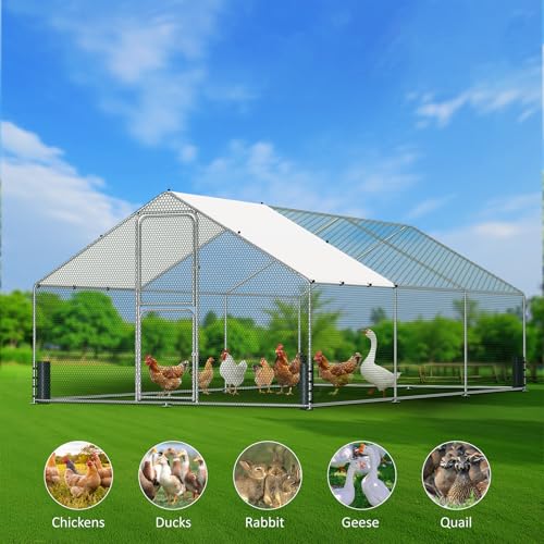Large Metal Chicken Coop, Walk-in Chicken Run with Feeding Door, Security Lock and Cover, Outdoor Duck/Rabbit Cage Poultry Pen for Backyard, Farm, Yard (Silver - Spire Roof, 19.6 x 9.8 x 6.6 FT) - size: 235.0"L x 118.1"W x 78.8"H