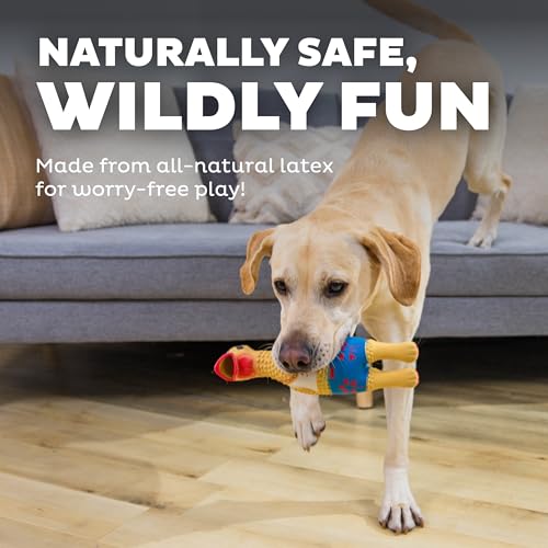 Outward Hound by Charming Pet Squawkers Earl Latex Squeaky Rubber Chicken Dog Toy, Funny Interactive Holiday Toy for Dogs, Large Size - color: Earl, size: Large