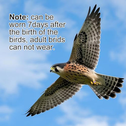 Bird Leg Rings 4.0mm，Multicolor Aluminum Bird Bands, Identification Rings for Small Birds (Pearl, Wen Bird, Tiger Skin, Hibiscus Bird), 50 Packs with Laser Engraved Numbers - size: 4.0MM