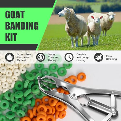 Goat Banding Kit, Stainless Steel Expander Tool with 200pcs 3-Size Rubber Bands & Expander Plier and Bands Kit for Humane Livestock Handling (Goats/Sheep/Calves/hog) - color: silver, size: Small
