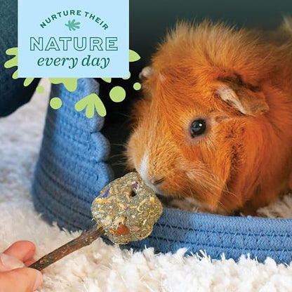 Oxbow Enriched Life Loco Ball, Rabbit Toys, Guinea Pig Toys, Enrichment for Bunny, Hamster, Rabbit, Chinchilla, Rat, Chinchilla Cage Accessories, Guinea Pig Accessories for Cage - size: 1 Count (Pack of 1)