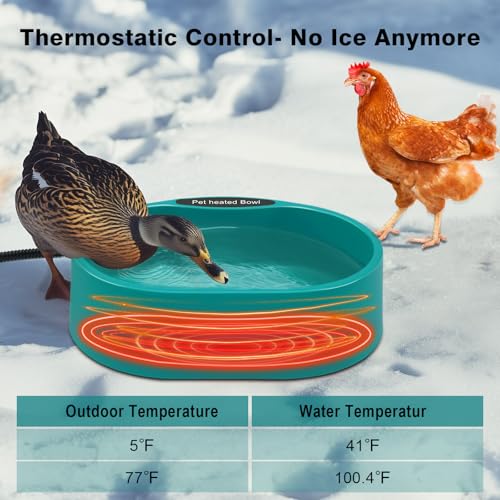 Heated Water Bowl for Chicken, Large Capacity 125OZ Poultry Water Heater for Hens Turkey Goose Duck Pigeon Poultry Birds Drinker in Winter, Chicken Coop Accessories No More Frozen Food Water