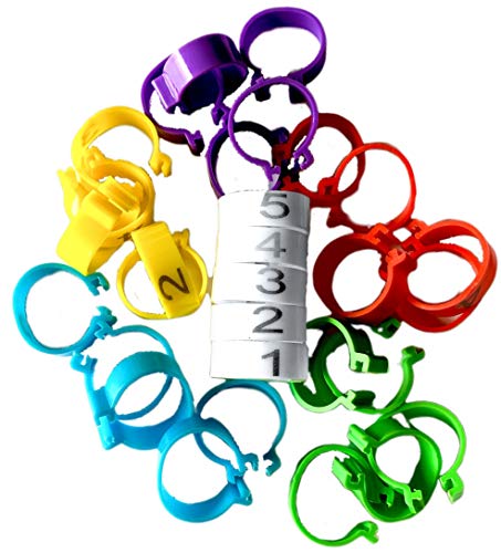 Chicken Leg Rings – 30 Numbered 1-5 Tag Markers for Adult Birds | 1/2” to 5/8” Legs | Clip On Poultry Ankle Bands for Gamefowl, Ducks, Guineas | Colored ID Legband Breeding Marking & Banding | Fowls - color: Multi, size: MEDIUM