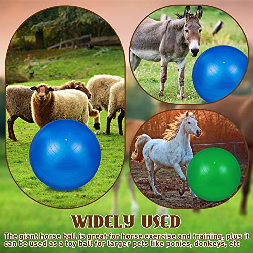 Sotiff 2 Pcs 40 Inch Horse Ball for Play Large Horse Big Equine Herding Anti Burst Dog Ball Soccer Giant, Pump Included(40 Inch,Green, Blue) - color: Green, Blue
