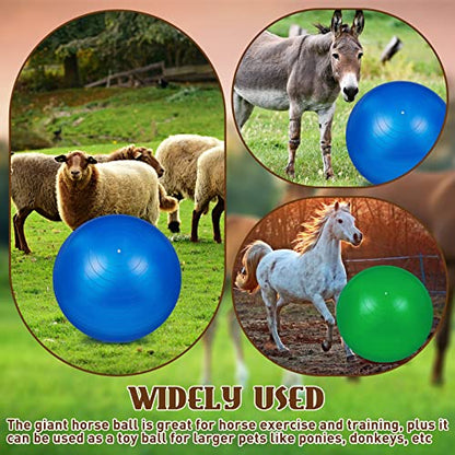 Sotiff 2 Pcs 40 Inch Horse Ball for Play Large Horse Big Equine Herding Anti Burst Dog Ball Soccer Giant, Pump Included(40 Inch,Green, Blue) - color: Green, Blue