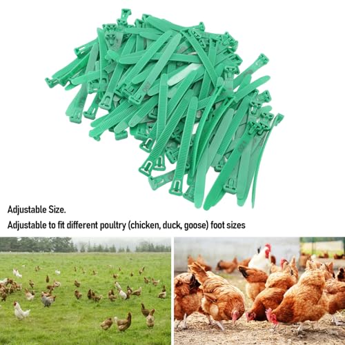 HEEPDD Chicken Leg Bands, Adjustable Fadeless Numbered Plastic Poultry Identification Leg Rings with Clear Colorfast Engraving, for Duck Goose Chicken Management (Green) - color: Green