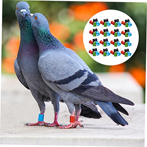 VICASKY 100Pcs Colorful Homing Pigeon Leg Bands Lightweight Identification Rings for Pigeons Chickens Birds Easy Marking for Poultry Breeds Random Colors