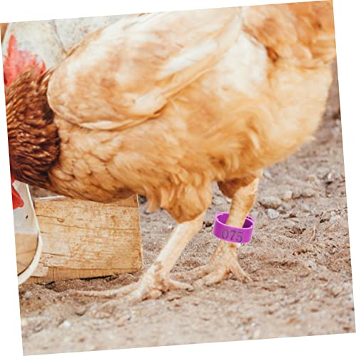 ibasenice Adjustable Chicken Leg Bands Numbers 1-100 Poultry Identification Rings Plastic Bird Foot Marking Tools for Pigeons and Chickens