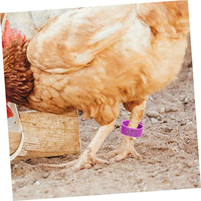 ibasenice Adjustable Chicken Leg Bands Numbers 1-100 Poultry Identification Rings Plastic Bird Foot Marking Tools for Pigeons and Chickens