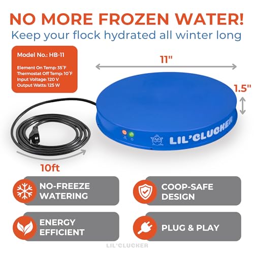 Lil'Clucker Heated Base for Chicken Waterer – Automatic Metal Freeze Proof Heated Chicken Waterer with Heater & LED – Poultry Heated Waterer for Winter (Blue, 11 Inch) - color: Blue