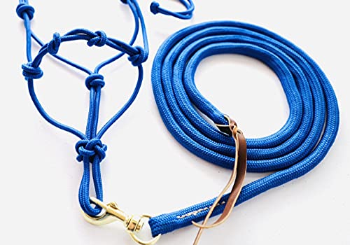 Star Point Horsemanship Mini-Pony 4 Knotted Rope Halter & 8' Lead Set withStiff Cord, Adjustable, Long Lasting, Quick Release Buckle (Royal Blue, Large 36-42" Pony) - color: Royal Blue, size: Large 36-42" Pony