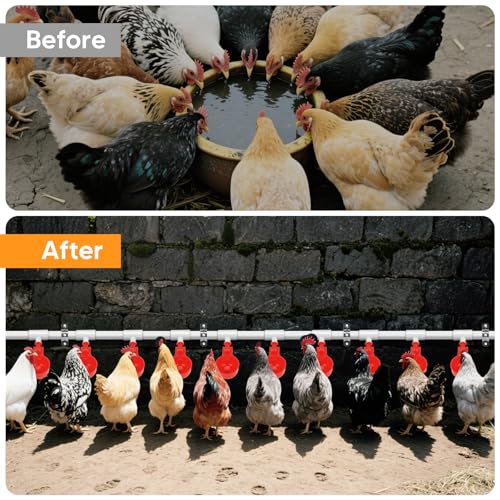 18 Pack Automatic Chicken Water Cups, Complete Set Pipeline Automatic Chicken Waterer System Poultry Waterer for Chick Duck Quail