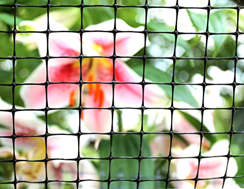 Tenax Garden Netting - Multi-Purpose, Durable Garden Net 3ft - 3' x 25' - Polyethylene (PE), Black - size: 3' x 25'