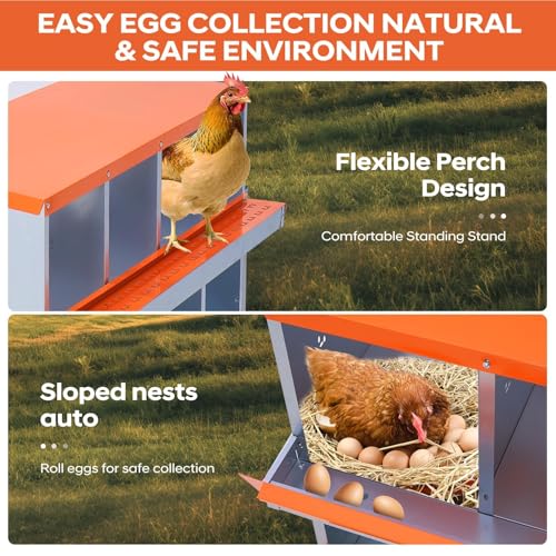Removable Tray & Ventilated - Metal Chicken Nesting Box for Small Animals - 10 Compartments, Wall Mountable, Easy Clean, Secure Egg Collection - Red, 10 Compartments ZW - color: Orange | 10 Compartment+legs