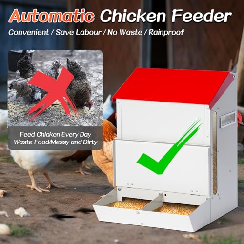 Automatic Chicken Feeder No Waste, Wall Mount| Weatherproof| Mess Free | Galvanized Hanging Poultry Feeder with Lid| Metal Chicken Feeder Trough Food Dispenser for Duck Geese|Hens| Turkeys Coop