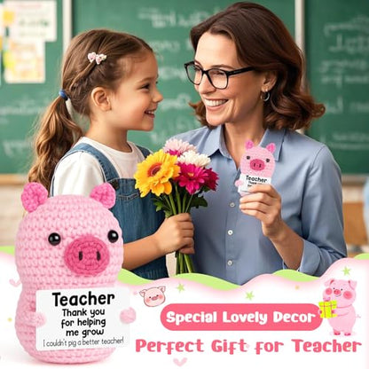 GevGuxLuo Funny Positive Pig Teacher Appreciation Birthday Gifts for Women | Back to School Thank You Gifts for Teachers End of Year, Handmade Crochet Pig Gift for Female Mother Positive Small Decor - style: Teacher