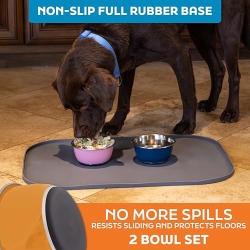 Master Pet Supply Stainless Steel Dog Bowls Set of 2 (16 Oz Each) with Non-Slip Rubber Base - Mango Tango - Basic Dog Food Bowl Water & Food Bowls for Small Medium Large Dogs & Cats, Metal Dish - color: Mango Tango, size: 2 Cups (16 oz) 2 Pack