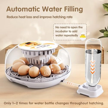 Incubators for Hatching Eggs Quail Egg Incubator 12 Eggs with Automatic Egg Turning and Humidity Control 360° Viewing for Chicken, Ducks, Goose, Pigeon for Lab Farm and Home