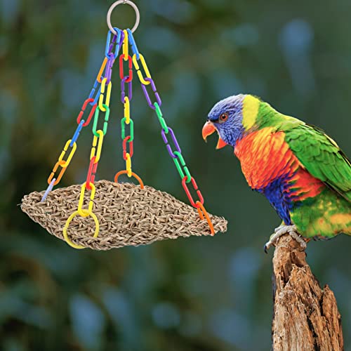 4pcs Parrot Swing Chicken Coop Accessories Large Chicken Coop Woven Parrot Activity Bird Toys Cage Bite s Foraging Wall Toy Abs to Climb Training Rack