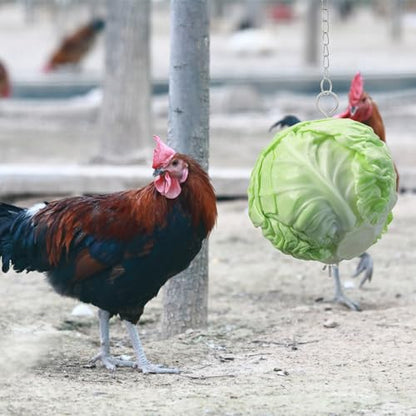 2PCS Chicken Feeding Toys Set, Chicken Hanging Feeder Toy Hanging Fruit Fork & Mesh Bag, Keeps Food Clean and Dry (A,Mesh+Fork)