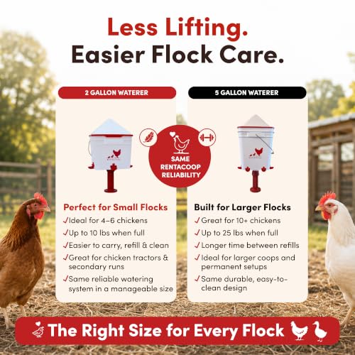 RentACoop 2 Gallon Chicken Waterer with 4 Auto-Fill Water Cups, 4 Horizontal Nipples, and Custom Adjustable Stand; BPA-Free; Large Capacity Poultry Waterer- Center Placement