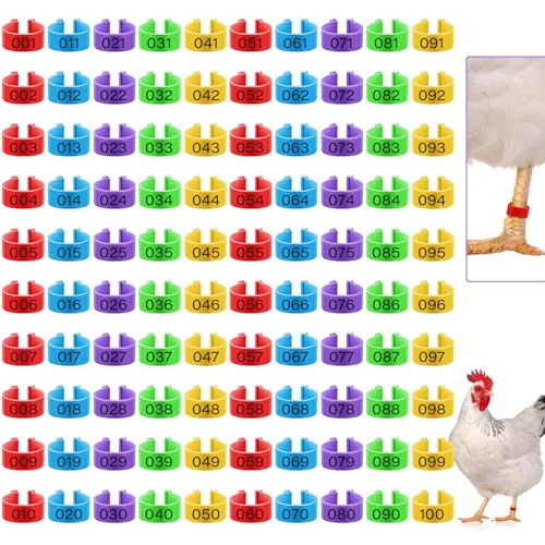 Patelai 100 Pieces 16 mm Chicken Leg Rings with 5 Colors Numbered Chicken Leg Bands Colorful Poultry Clip on Bands Ankle Rings for Ducks Chicks Guinea Pigeons Goose
