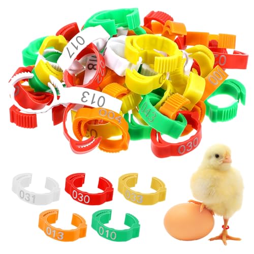 Nogeqi 50PCS Chicken Leg Bands, 16mm Chicken Tags for Legs, Colorful 01-50 Numbered Identification Poultry Leg Bands Rings for Ducks Bantam Guinea Pigeons Goose Gamefowl