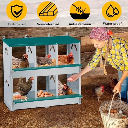 Rustproof Galvanized Steel Build - Chicken Nesting Box for Small Animals - 6 Compartments, Large Vented Holes, Easy Clean, Secure Egg Collection, Wall-Mounted - Green, 6 Compartments ZW - color: Green | 6 Compartments+legs