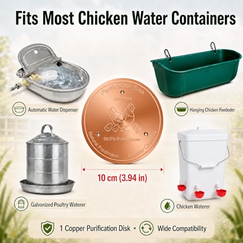 Copper Disc for Chicken Water Purification, 99.99% Pure Copper Disk, Helps Keep Water Cleaner, Fits Chicken Waterers, Chicken Water Feeders & Bird Baths