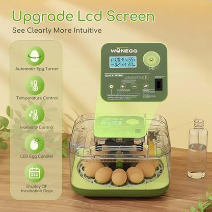 Incubator for Hatching Eggs with Turning,12 Eggs Automatic Incubator and Temperature Control Precise Humidity Control, 360° View Clear Window for Hatching Chicken, Quail Bird,Duck, Pigeon Eggs