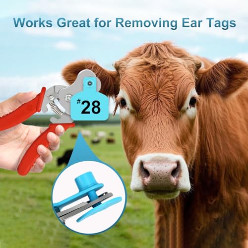 Stainless Steel Ear Tag Removing Tool for Cattle Sheep Goat Pig Ear Tag Remover Applicators Pliers by Livestocktool