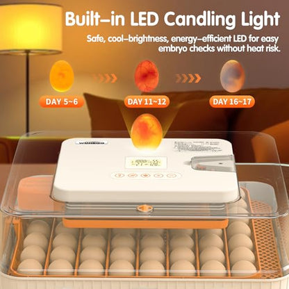 Incubator for Hatching Eggs, 56 Eggs Incubator with Automatic Egg Turning, Temperature & Humidity Control, LED Egg Candler, Incubation Days Display, for Chicken, Duck, Goose, Quail, Parrot Bird Eggs