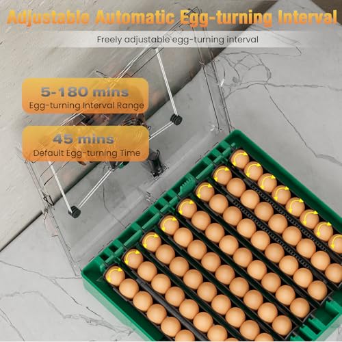 Egg Incubator for Chicken Eggs, Max 72 Egg Large Capacity with Automatic Egg Turner and Humidity Control, Egg Hatching Incubator for Chicken, Quail, Duck with 360° Clear View for Farm & Classroom