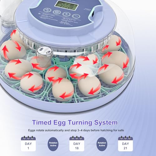 18 Egg Incubator for Hatching Chicks, Automatic Egg Turner Holds 18 Eggs, Smart Incubator 360° Clear Window with Temperature and Humidity Display Egg Candler for Small Poultry Ducks Quails Eggs
