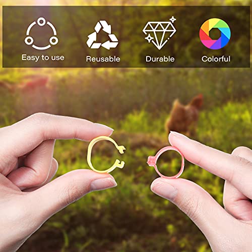 Patelai 100 Pieces 16 mm Chicken Leg Rings with 5 Colors Numbered Chicken Leg Bands Colorful Poultry Clip on Bands Ankle Rings for Ducks Chicks Guinea Pigeons Goose
