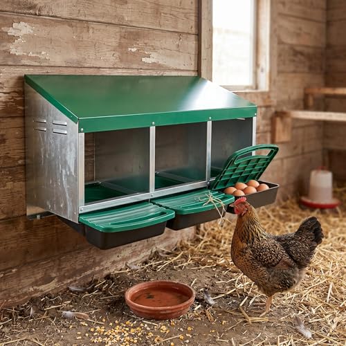 Metal Chicken Nesting Box - Heavy Duty Roll Away Nesting Boxes for Chickens Coop with Easy-Collect Tray & Lid, 3 Hole Galvanized Steel Egg Laying Boxes for Hens Ducks, Wall Mount or Freestanding - color: Green, size: 3 Holes