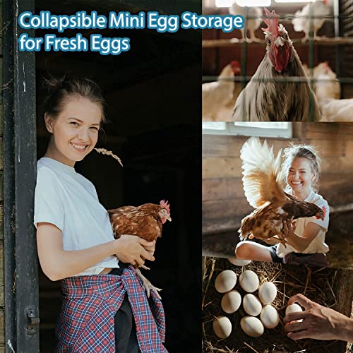 JIYUJIAHUA Egg Basket, Collapsible Mini Storage - Can Easily Load Eggs for Carrying and Collecting Eggs, Easy Washing, and Fast-drying, Country Primitive Farmhouse Style, DANLAN-001